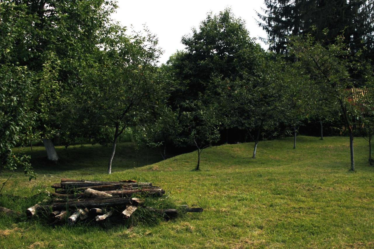 Casa Rurala Cu Livada Lavandra クンピナ エクステリア 写真