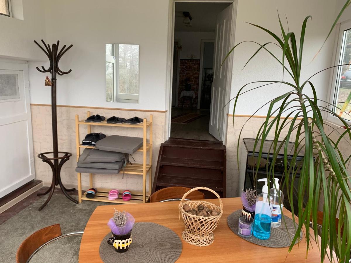 Casa Rurala Cu Livada Lavandra クンピナ エクステリア 写真